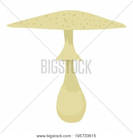 Macrolepiota procera icon. Cartoon illustration of macrolepiota procera vector icon for web