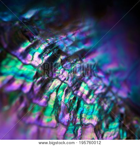 Gemstone Nacre Texture Close Up