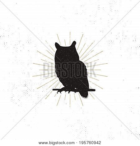 Owl silhouette shape isolated on white background. Black animal icon. Solid template with sunbursts. Stock vector isolated