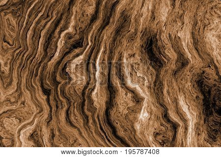 Texture of roots of tree with wavy lines and age rings. Abstract background.