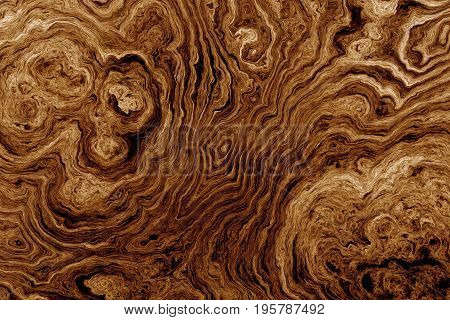 Texture of roots of tree with wavy lines and age rings. Abstract background.