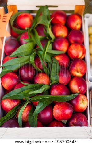 Fresh organic Nektarine fruits. Frame composition of fruits on market stall close up