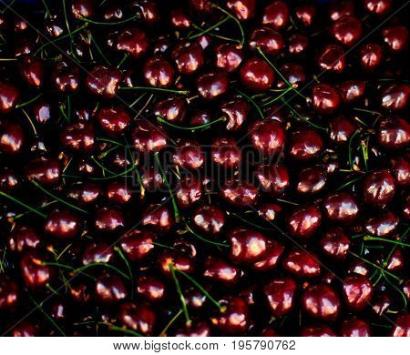 Cherry Background - Fresh organic Cherry fruits. Frame composition of fruits on market stall close up