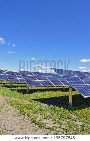 Rows of solar panels. Vertical image with room for text.
