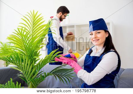 Cleaning service team vaccuuming, dusting and watering plants