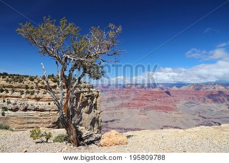 Grand Canyon Maricopa Point