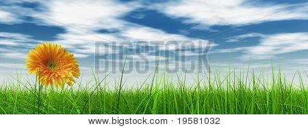 haute résolution 3d green grass sur une bannière de ciel bleu avec des nuages blancs dans le fond et une belle yel