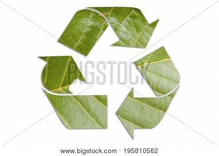 Recycle logo made from natural leaf, concept sign for recyling