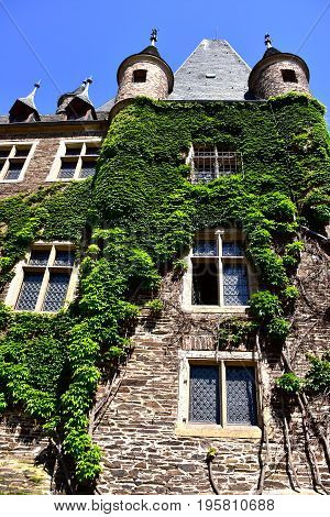 Ivy growing on the walls of Castle Reichsburg.