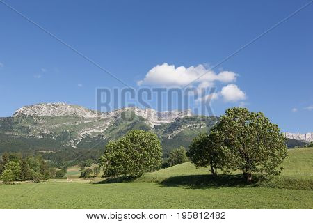 View of a landscape of Vercors in France