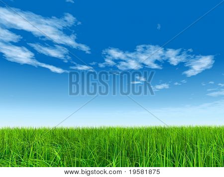haute résolution 3d green grass sur un ciel bleu avec des nuages blancs dans le fond et un horizon clair.