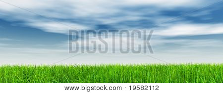haute résolution 3d green grass sur une bannière de ciel bleu avec des nuages blancs dans le fond et une claire ho