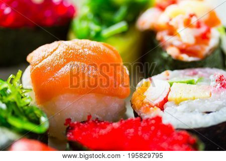 Zushi Or Sushi In A Japanese Food Cuisine