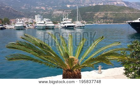 Budva, Montenegro - June 27, 2017: Boats, yachts in the beautiful Dukley Marina Budva