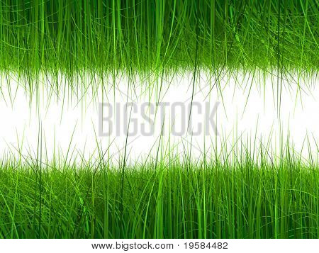 trame verte herbe 3d de haute résolution isolé sur fond blanc