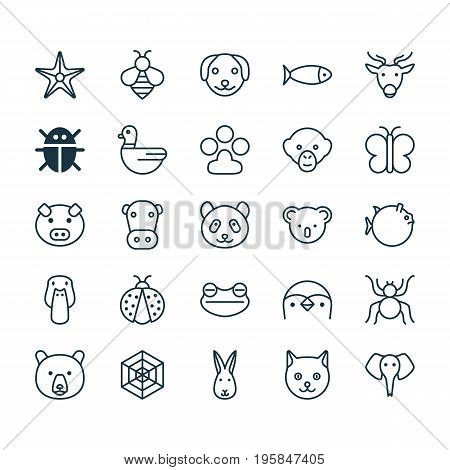 Nature Icons Set. Collection Of Bear, Moth, Claw Print And Other Elements