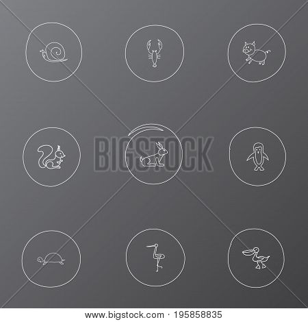 Set Of 9 Editable Animal Doodles. Includes Symbols Such As Pelican, Rabbit, Shadoof And More
