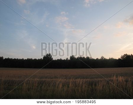 Nature at sunset with clear sky It is a wonderful weather