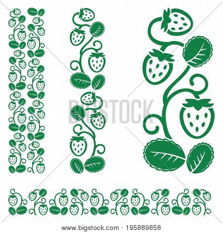 Strawberry stem with berries and leaves. Ornament element