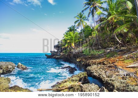 Wild tropical rocky shore, bay, lagoon. Green palm trees on the rocks and girl on the rocks. Las Galeras, Samana, Dominican Republik