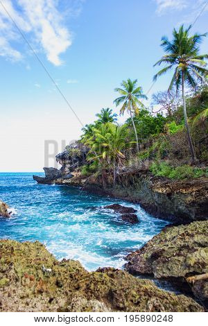Wild tropical rocky shore, bay, lagoon. Sea Splash, Green palm trees on the rocks. Las Galeras, Samana, Dominican Republic