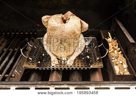 Beer can chicken on a grill. The chicken is covered with garlic. The chicken is not yet cooked. There is smoking chips in the tray next to the chicken.