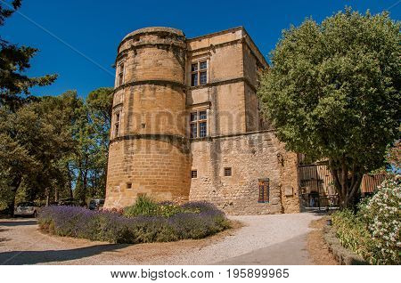 View of the Lourmarin castle with lavender bush in front, near the village of Lourmarin. In the Vaucluse department, Provence-Alpes-Côte d'Azur region, southeastern France