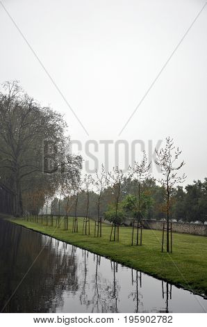 water in the park with trees France