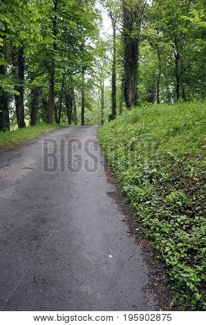 Uphill path in a park with trees France