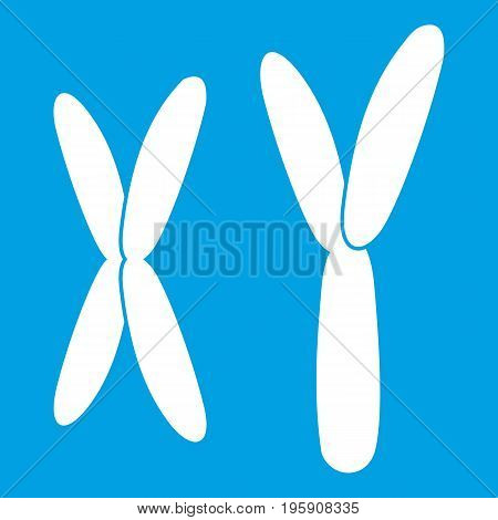 Human chromosomes icon white isolated on blue background vector illustration