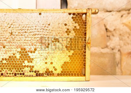 wooden frame with honeycomb full of honey