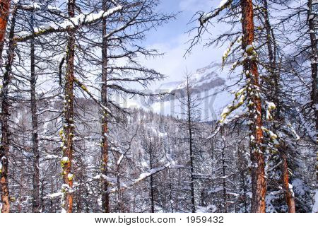 Berglandschaft