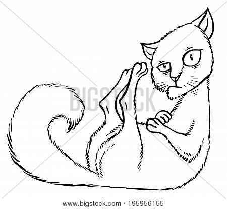 Sly cartoon cat sitting in the corner - vector illustration