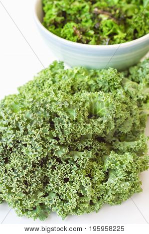 Fresh kale leaves and bowl of kale chips. Salad ingredient. Healthy eating concept