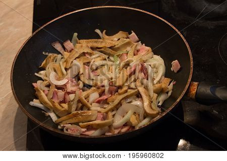 Lactarius piperatus with onion and salted and toasted bread
