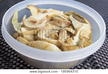 Lactarius piperatus with onion and salted and toasted bread