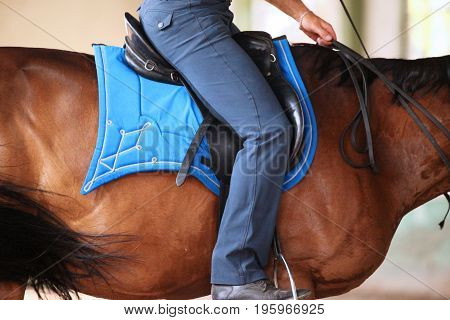 Unknown rider on dressage training sit in saddle