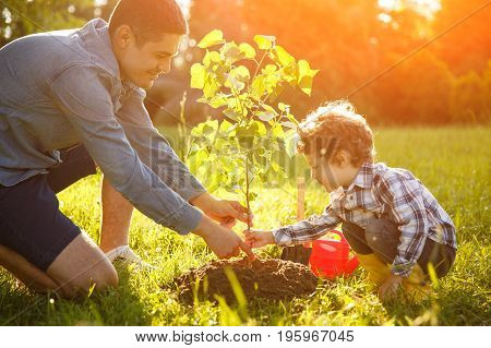 Boy and man both wearing shirt planting tree seedling in park.
