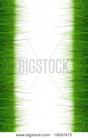 Herbe verte 3d de haute résolution isolé sur fond blanc