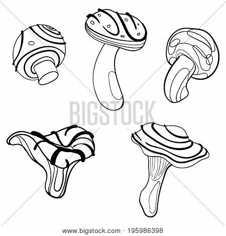 Vector set of mushrooms. Collection of stylized edible mushrooms. Black and white drawing by hand. Linear Art.