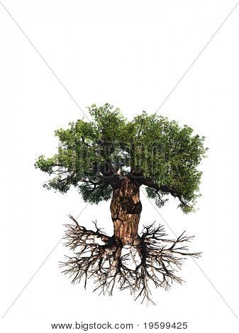 High Resolution Old Image & Photo (Free Trial) | Bigstock