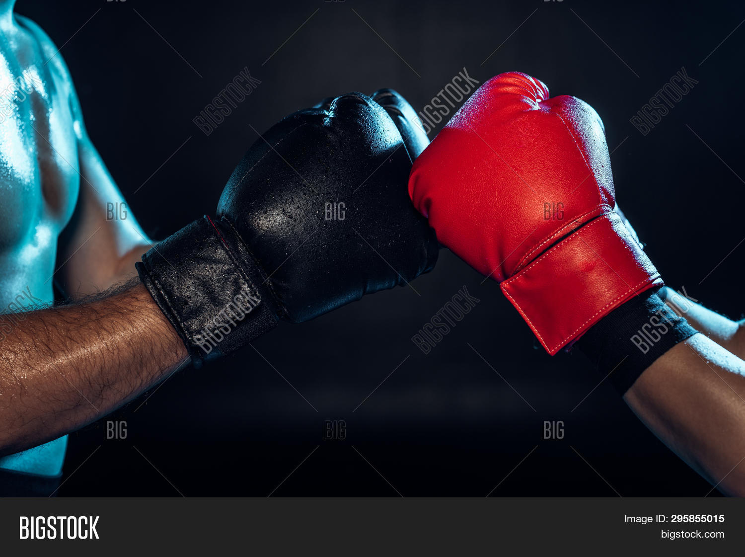 Бокс вид спорта. Touch boxing. Боксерские ассоциации. Часы боксерские. Touch boxing.