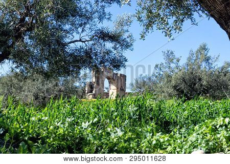 Alexander Severus's Arch In Dougga, Tunisia.