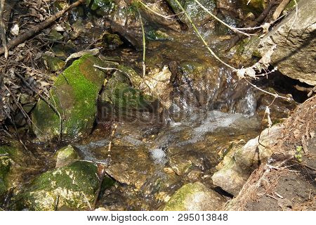 April, A Stream Of Melt Water Makes Its Way To The River Through The Old, Moss-covered Rocks.