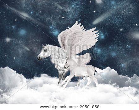 Pegasus familie