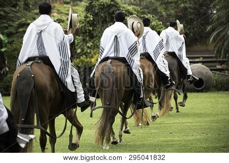 Demonstration Of The Peruvian Paso Horse Mounted By His Chalan. Peru