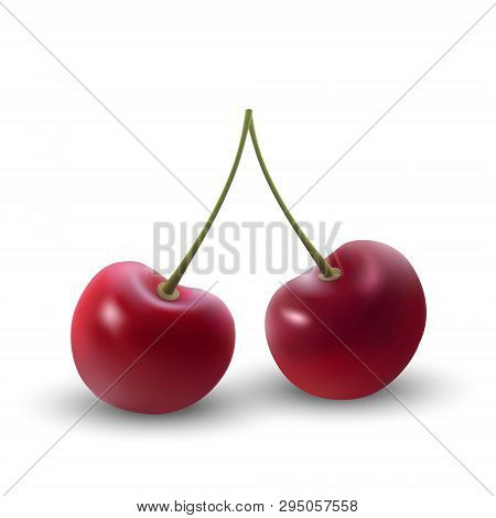 Realistic Ripe Red Cherry Berriy. Vector Illustration