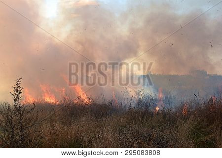Ignition Of Dry Grass And Reeds Near Residential Buildings.