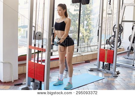 Portrait Of Athletic European Young Lady Doing Physical Exercises, Lifting Weight, Strengthen Her Bo
