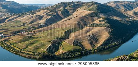 View Of The Terraced Vineyards In The Douro Valley And River Near The Village Of Pinhao, Portugal. C